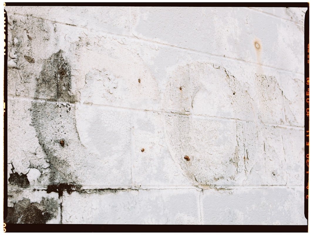 Basement Water Removal service in South Gate, CA